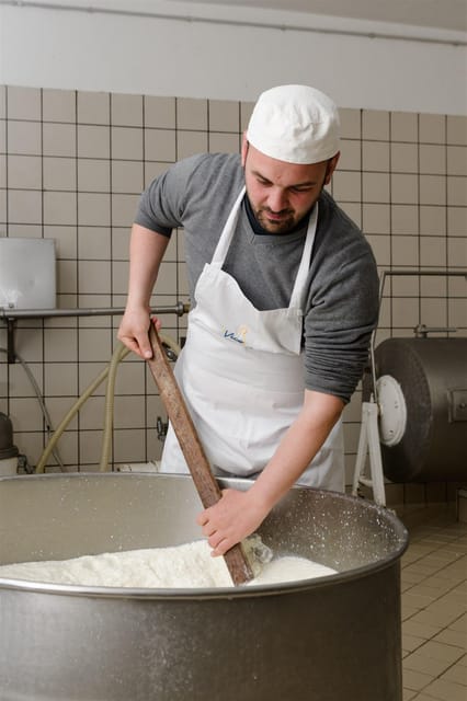 Sorrento: mozzarella cheese workshop in Vico Equense - From fresh curd to the tasting table