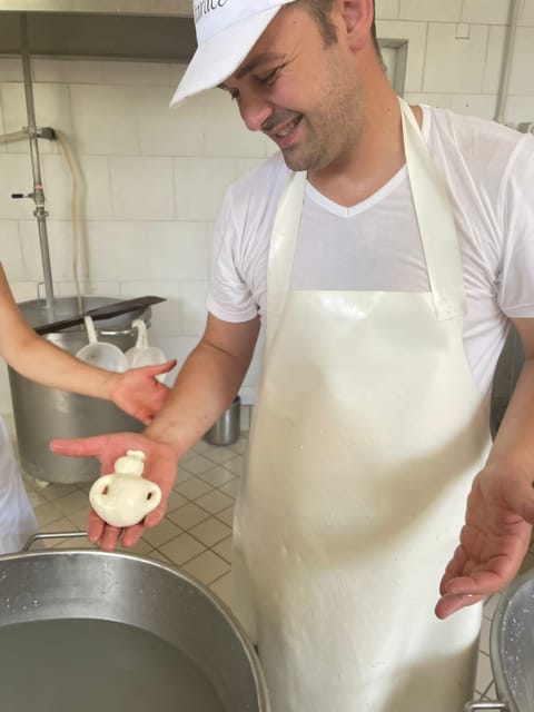 Sorrento: mozzarella cheese workshop in Vico Equense - Useful planning advice before you go