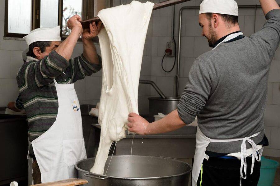 Sorrento: mozzarella cheese workshop in Vico Equense - Meeting Antonio in the Monti Lattari