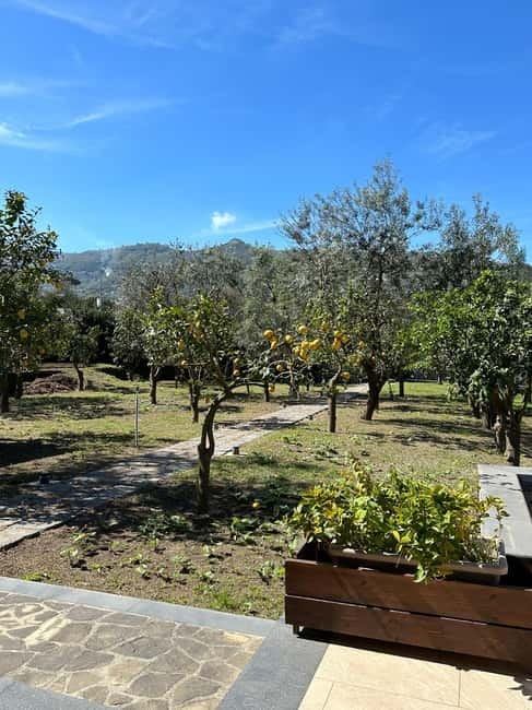 Sorrento: Mozzarella experience. Say CHEESE with us! - Arriving at the family farm near Sorrento