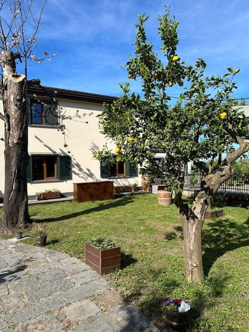 Sorrento: Mozzarella experience. Say CHEESE with us! - Who should book this farm experience?