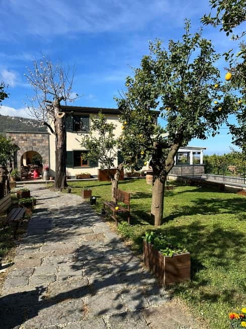Sorrento: Mozzarella experience. Say CHEESE with us! - Practical timing and booking advice
