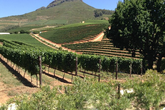 Stellenbosch Franschhoek Full-Day Tour with Cheese Tasting - Why this wine-country day works from Cape Town