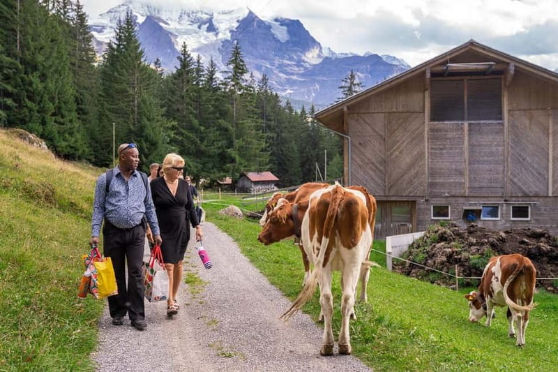 Sunset Hike with Cheese Fondue in Wengen - Practical details worth knowing