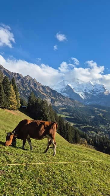 Sunset Hike with Cheese Fondue in Wengen - Is $245 a fair price?