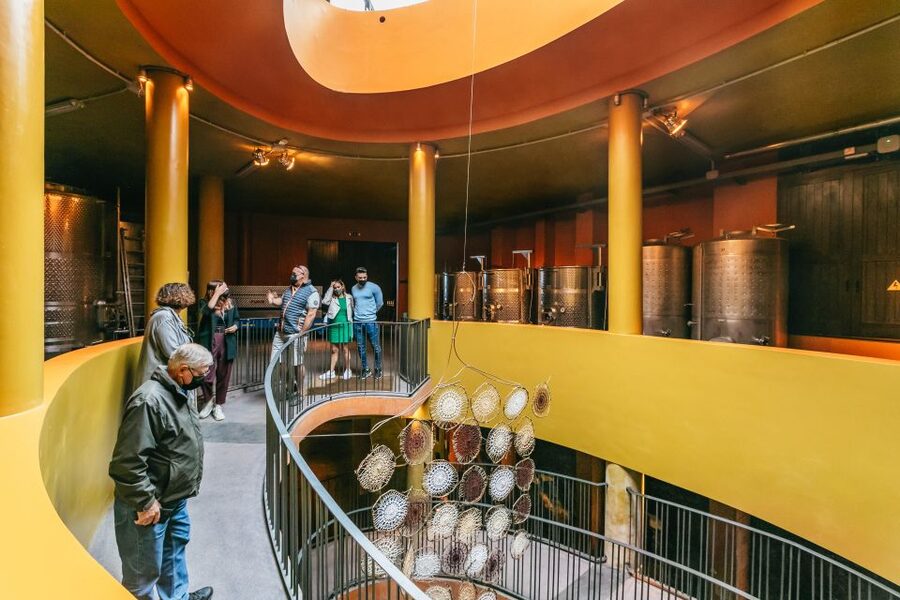Tacoronte: Guided Winery Tour with Wine and Cheese Tastings - Timing, Language, and Practical Advice