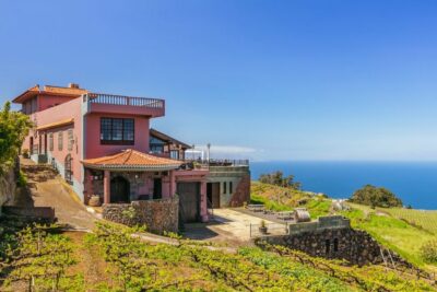Guided Winery Tour with Wine and Cheese Tastings