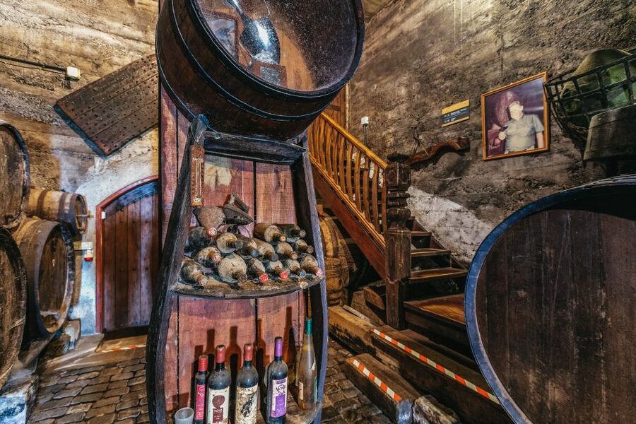 Tacoronte: Guided Winery Tour with Wine and Cheese Tastings - Why the Cheese Pairings Matter