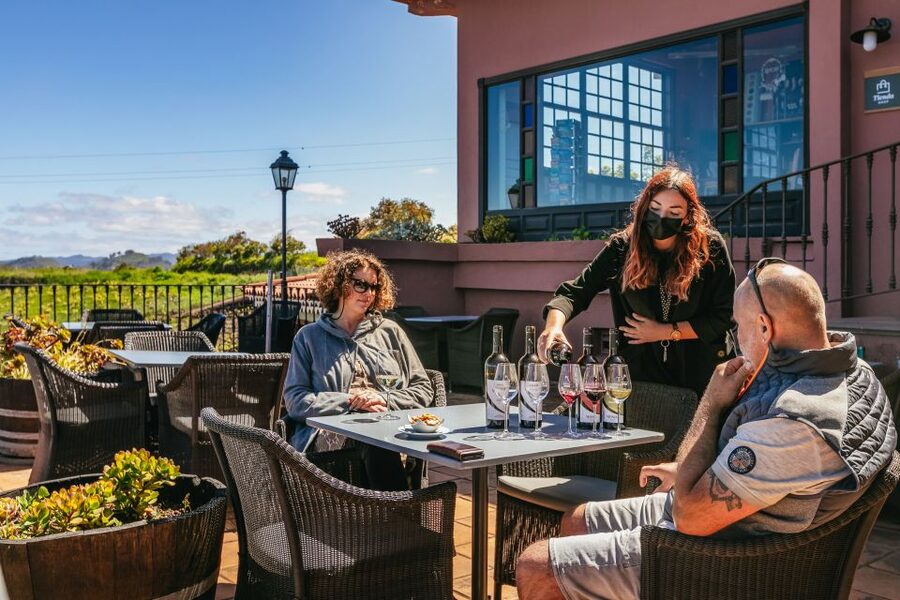 Tacoronte: Guided Winery Tour with Wine and Cheese Tastings - How the Tour Compares with Its Price