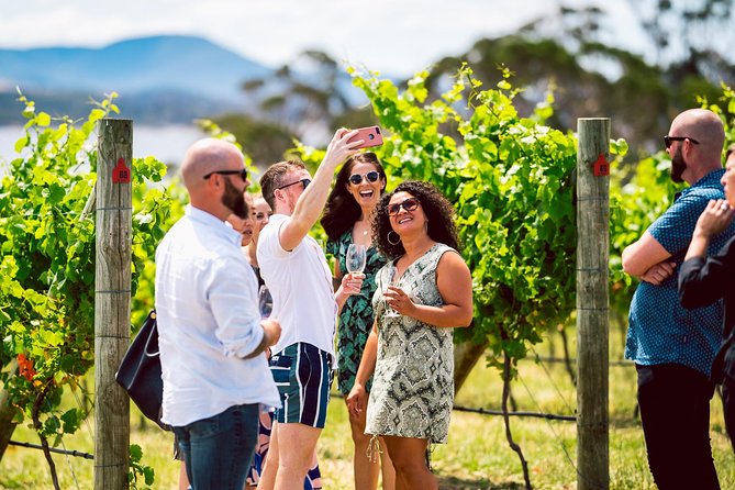 Tasmanian Premium Wine Tour with Tasmanian Cheese Platter - Craigow and the pleasure of meeting producers