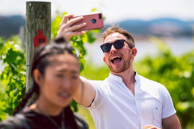 Tasmanian Premium Wine Tour with Tasmanian Cheese Platter - Is $207.28 good value?