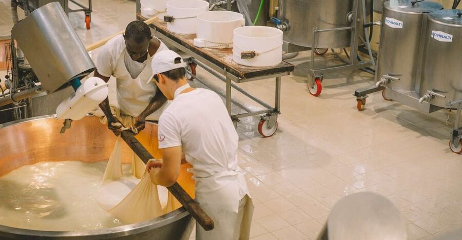 Taste of Modena: Prosciutto, Parmesan, Balsamic & Ferrari - At the Parmigiano Reggiano dairy