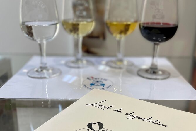 Tasting of 6 Bordeaux wines and pairing charcuterie & cheese - The first glass: learning to taste without the fuss