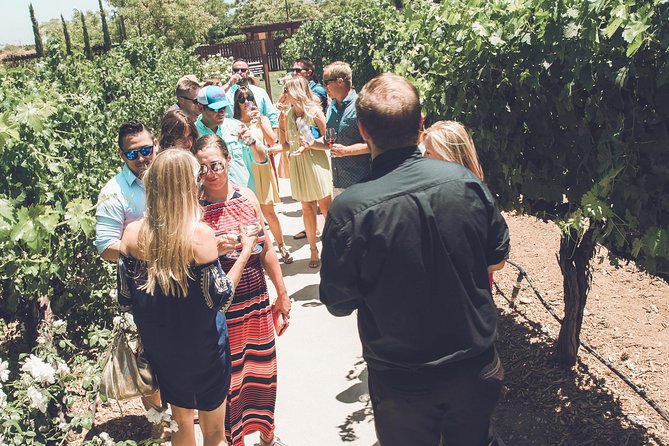 Temecula Valley Afternoon Wine Tour with Tastings and Cheeseboard - Three Temecula wineries between 2:15 and 6:15 PM