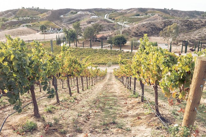 Temecula Valley Afternoon Wine Tour with Tastings and Cheeseboard - Is $169 a fair price?