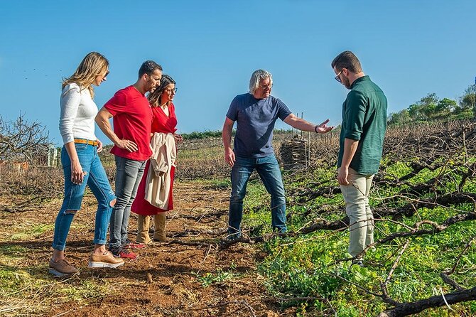 Tenerife Bodegas Monje Winery Tour with Wine and Cheese Tasting - Weekend times and the odd 4pm arrangement
