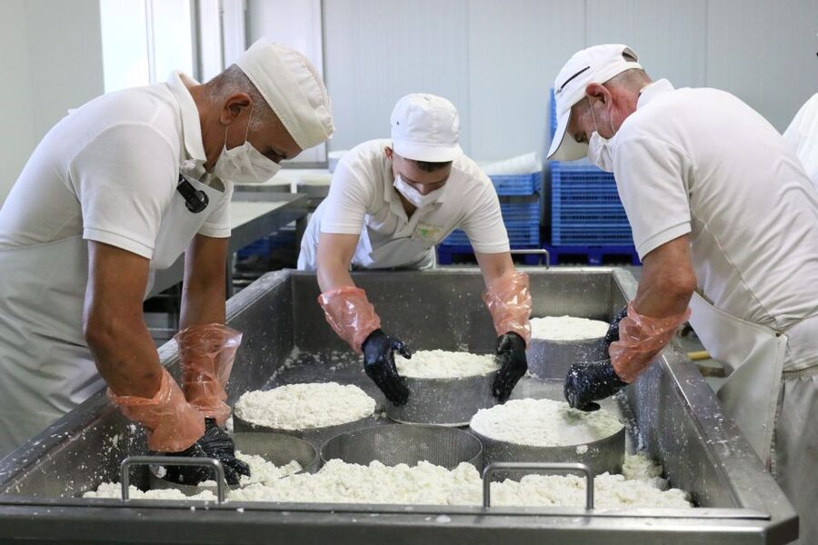 Tenerife - Farm Tour with Cheese Tasting - Key points at a glance