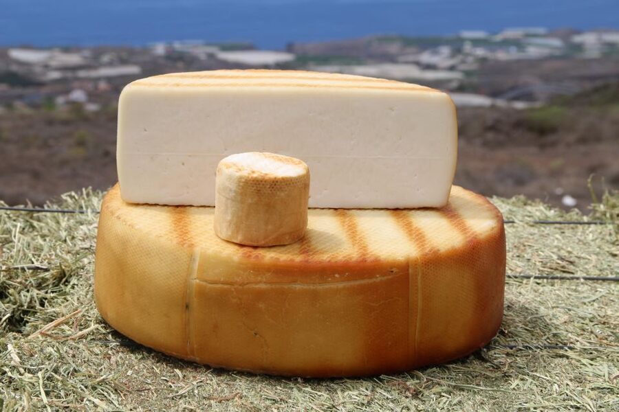 Tenerife - Farm Tour with Cheese Tasting - Why this small farm visit works so well