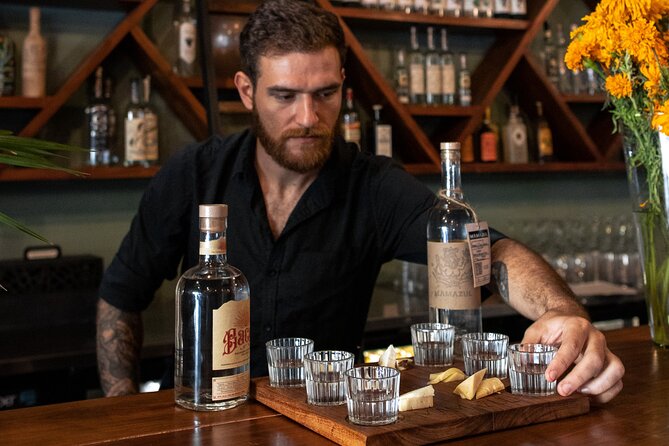 Tequila and Mezcal Tasting in Tulum with Cheese Pairing - Six pours, four regions, and a broader picture of agave spirits