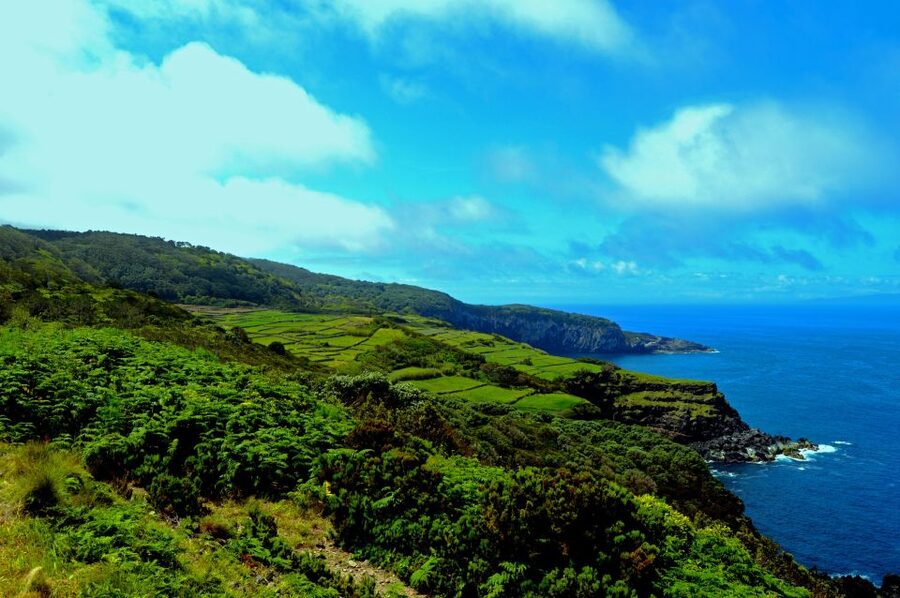 Terceira: Half-Day Island Tour with Cheese Tasting - What this four-hour tour really gives you