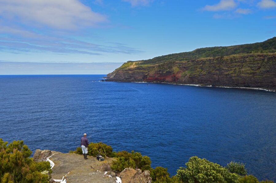 Terceira: Half-Day Island Tour with Cheese Tasting - Lagoa das Patas and Terceira’s garden-like interior