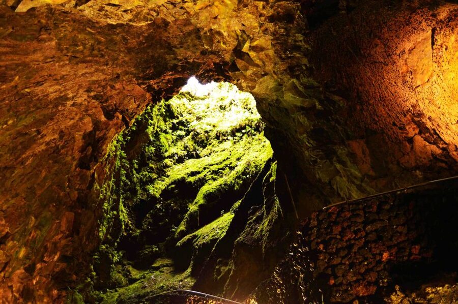 Terceira: Half-Day Island Tour with Cheese Tasting - Is $58 a fair price?