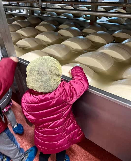 The Art of Parmigiano Reggiano & Aged Balsamic Vinegar - Should you book the Parmigiano and balsamic experience?
