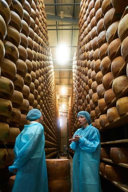 The Art of Parmigiano Reggiano & Aged Balsamic Vinegar - Inside Acetaia Malagoli Daniele