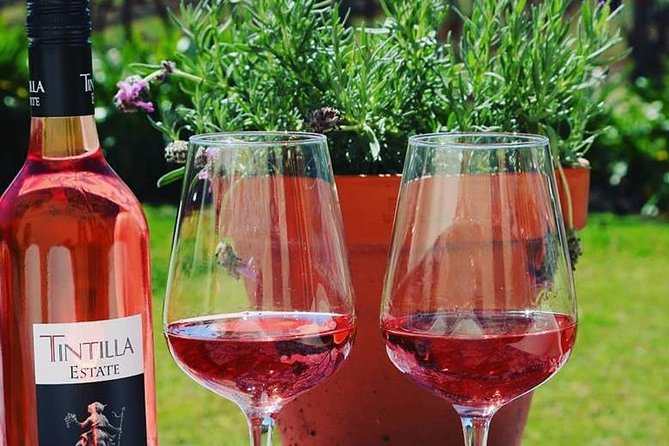 Tintilla Estate: Wine Tasting with a Meat and Cheese Platter - An hour at Tintilla Estate, from first glass to last bite