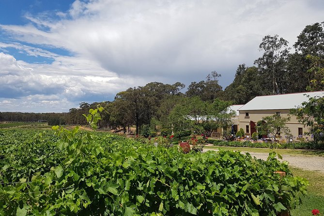 Tintilla Estate: Wine Tasting with a Meat and Cheese Platter - The meat and cheese platter is part of the main event