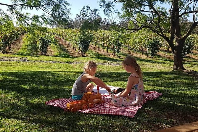 Tintilla Estate: Wine Tasting with a Meat and Cheese Platter - Why the vineyard deck adds real value