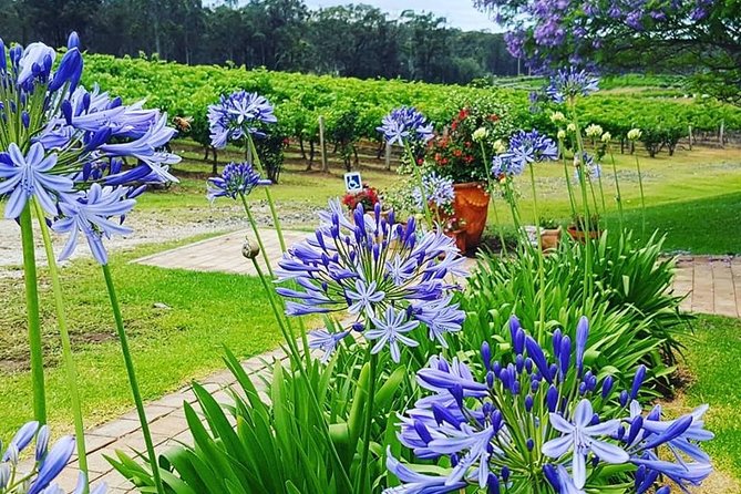 Tintilla Estate: Wine Tasting with a Meat and Cheese Platter - Private tasting, simple location, and useful timing