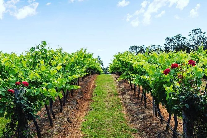 Tintilla Estate: Wine Tasting with a Meat and Cheese Platter - Should you book Tintilla Estate?