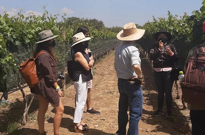 Tour of the Tradition and History of Cheese and Wine in Querétaro - What the price includes in practical terms