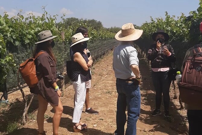Tour of the Tradition and History of Cheese and Wine in Querétaro - Timing, meeting point, and pickup advice