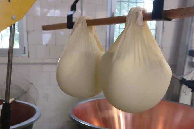 Tour Parmigiano Reggiano dairy and Parma ham - A short drive to the Langhirano ham producer