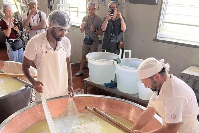 Tour Parmigiano Reggiano dairy and Parma ham - Timing, group size, and practical limits