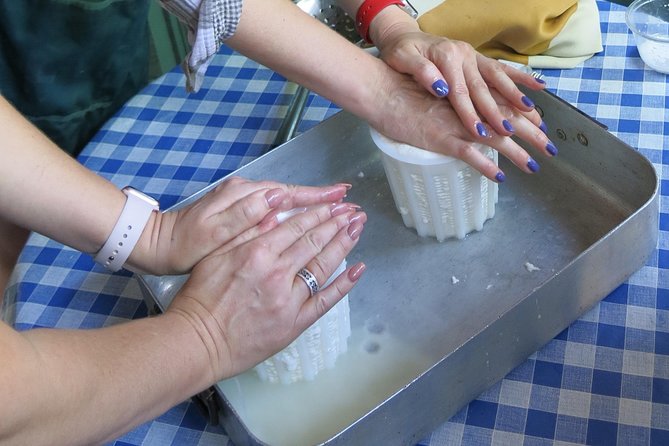 Troodos Mountains Halloumi Making: All Inclusive Workshop & Tour - Golden Donkeys Farm and a different side of Cyprus