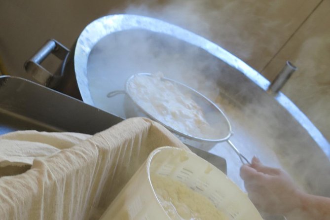 Troodos Mountains Halloumi Making: All Inclusive Workshop & Tour - What the $141.77 price really covers
