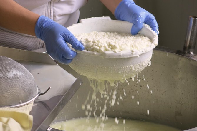 Troodos Mountains Halloumi Making: All Inclusive Workshop & Tour - Making halloumi at a local farm