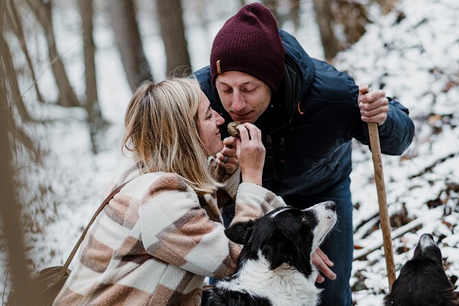 Truffle Hunting and Cheese, Truffle & Wine Tasting near Alba - Five things to know before you go