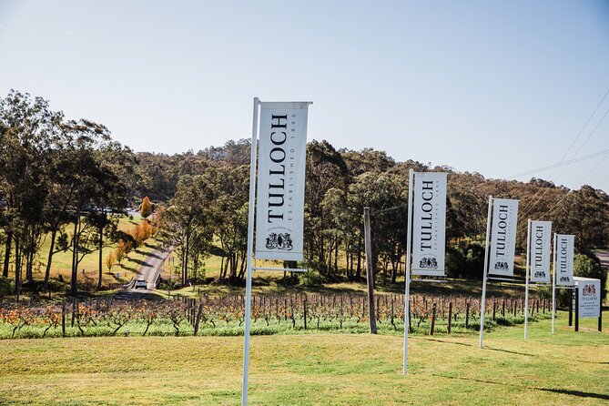 Tulloch Wines Hunter Heroes Wine Tasting with Local Cheese & Charcuterie Board - A real activity for children, not just a chair at the table