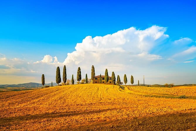 Tuscany Private Tour with Wine and Cheese Tasting from Florence - Key points at a glance