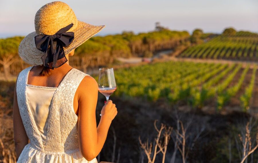 Tuscany: Ripalte Design Winery Wine and Cheese Tasting Tour - Julia’s guiding style and the human touch