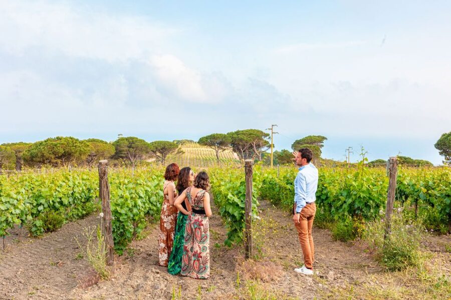 Tuscany: Ripalte Design Winery Wine and Cheese Tasting Tour - Walking through the vineyards toward the sea