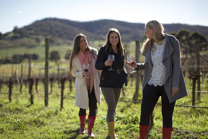 Ultimate Yarra Valley Chandon, Soumah & De Bortoli Cheese & Wine - Soumah and the winery lunch