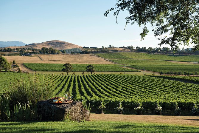 Ultimate Yarra Valley Chandon, Soumah & De Bortoli Cheese & Wine - The boutique winery stop and changing order