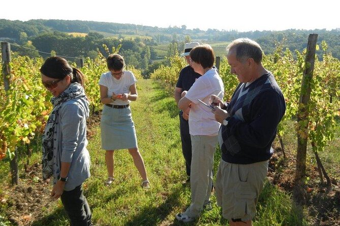 Ultimate Yarra Valley Chandon, Soumah & De Bortoli Cheese & Wine - Who should book this experience?