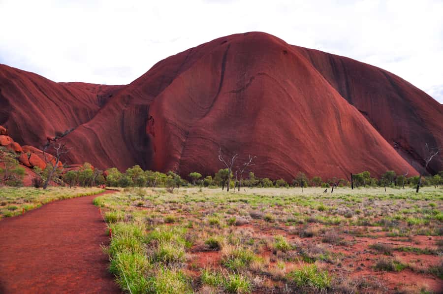 Uluru: Sacred Sites & Sunset Tour with Wine & Cheeseboard - Key points at a glance