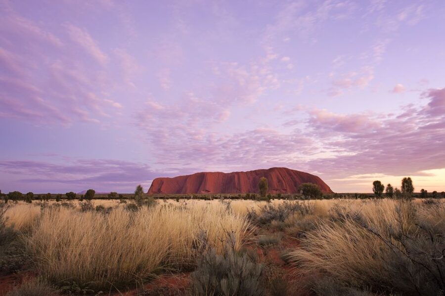 Uluru: Sunset, Sparkling Wine, Cheeseboard & Gourmet BBQ - Should you book the Uluru sunset BBQ?